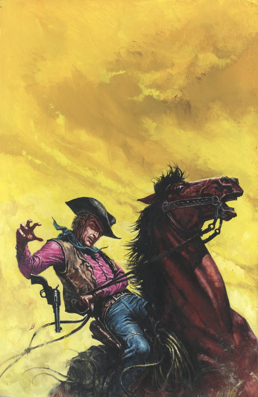 Rodeo-Western 296 001