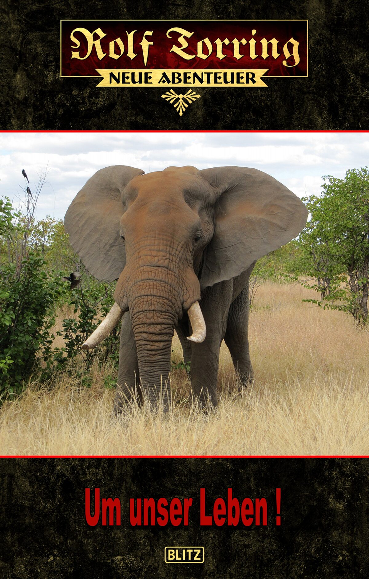 UM UNSER LEBEN! – Band 29